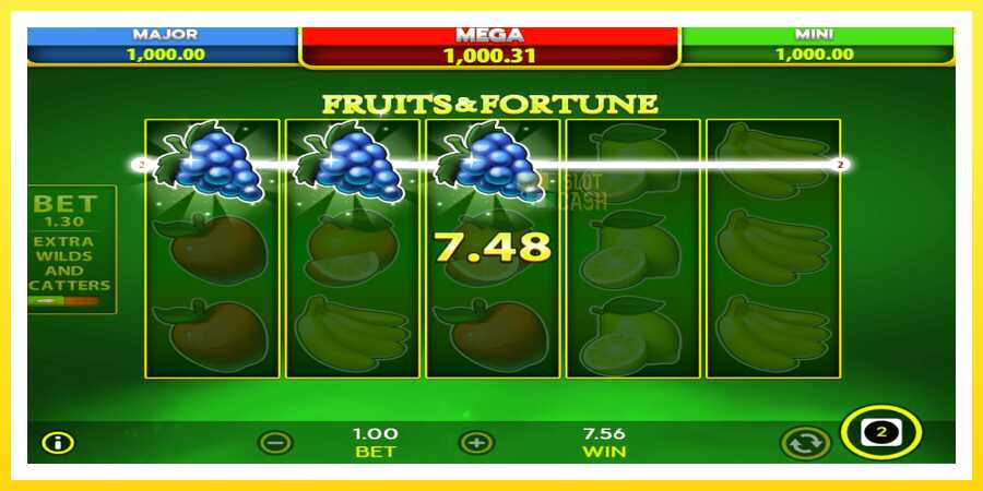 படம் 5 விளையாட்டு இயந்திரம் Fruits & Fortune