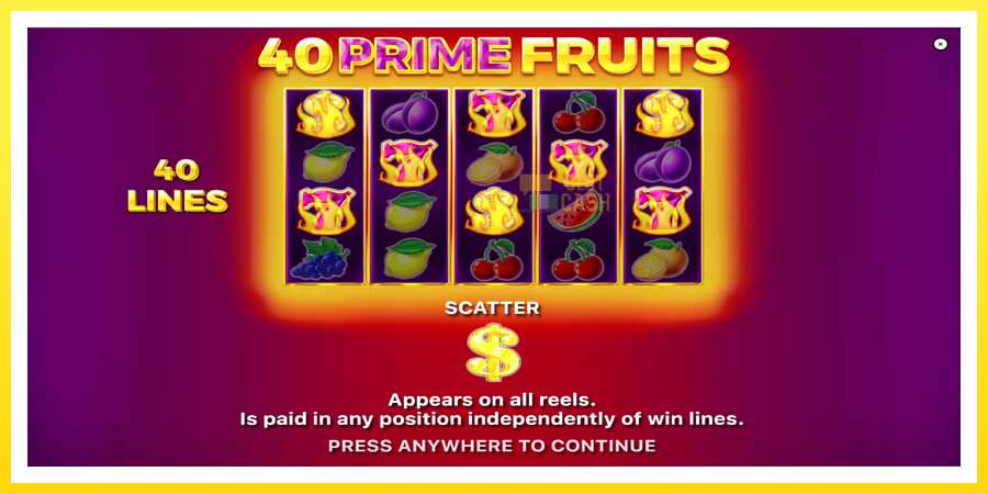 படம் 1 விளையாட்டு இயந்திரம் 40 Prime Fruits