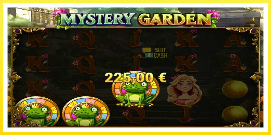 படம் 5 விளையாட்டு இயந்திரம் Mystery Garden