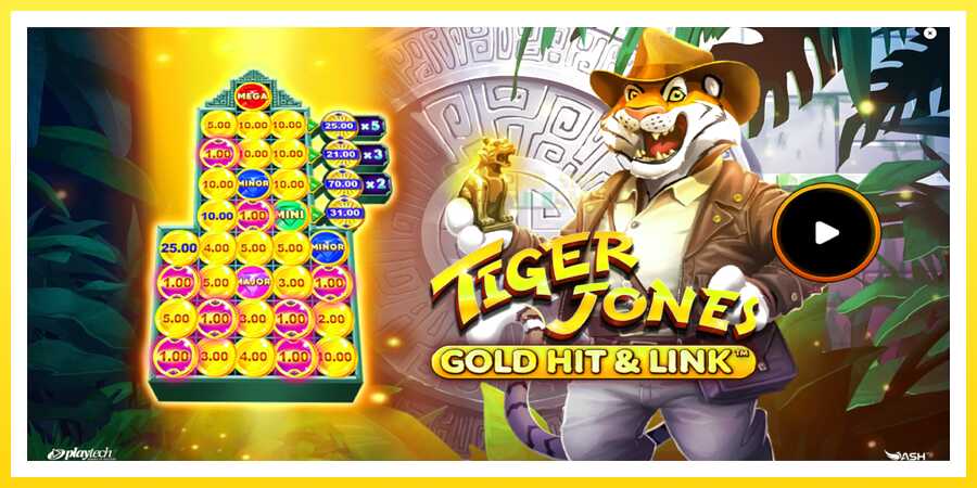 படம் 1 விளையாட்டு இயந்திரம் Gold Hit & Link: Tiger Jones