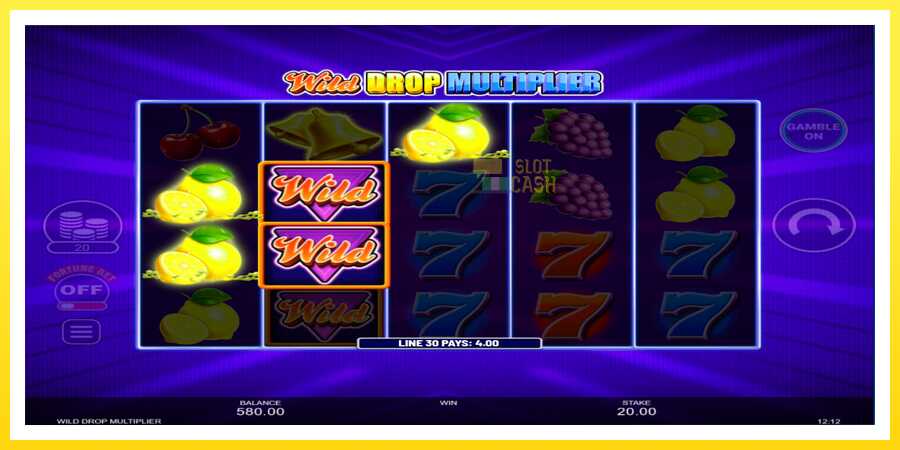 படம் 3 விளையாட்டு இயந்திரம் Wild Drop Multiplier