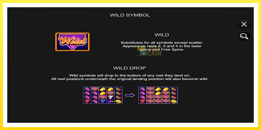 படம் 6 விளையாட்டு இயந்திரம் Wild Drop Multiplier