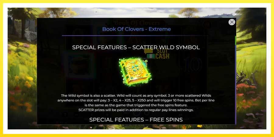 படம் 5 விளையாட்டு இயந்திரம் Book of Clovers - Extreme