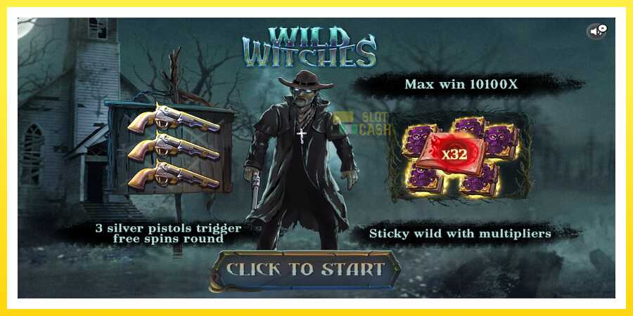 படம் 1 விளையாட்டு இயந்திரம் Wild Witches