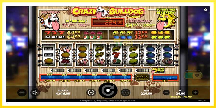 படம் 4 விளையாட்டு இயந்திரம் Crazy Bulldog