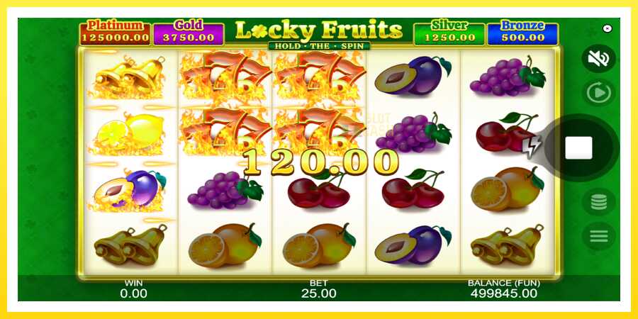 படம் 3 விளையாட்டு இயந்திரம் Locky Fruits: Hold the Spin