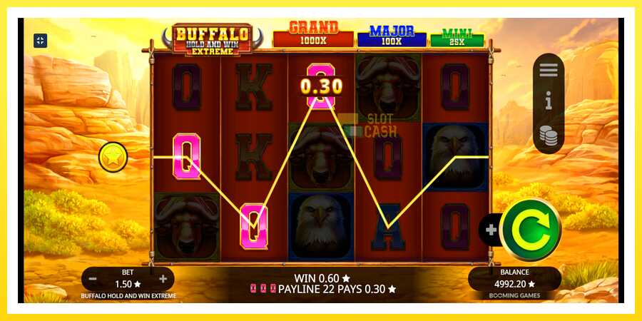 படம் 4 விளையாட்டு இயந்திரம் Buffalo Hold and Win Extreme