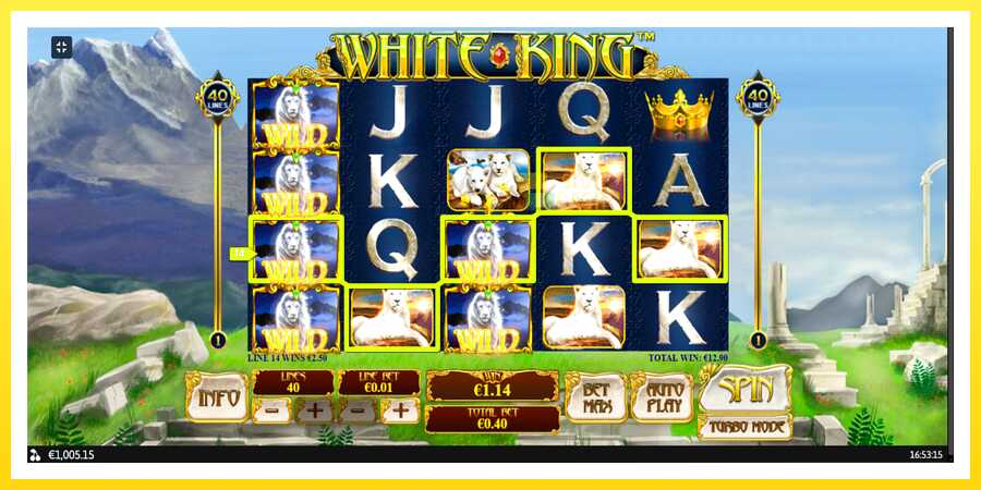 படம் 11 விளையாட்டு இயந்திரம் White King