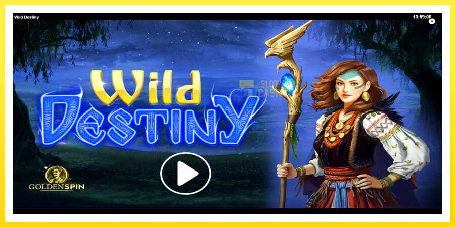 படம் 1 விளையாட்டு இயந்திரம் Wild Destiny