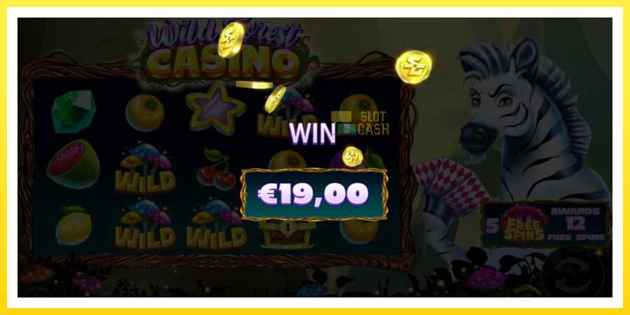 படம் 3 விளையாட்டு இயந்திரம் Wild Forest Casino