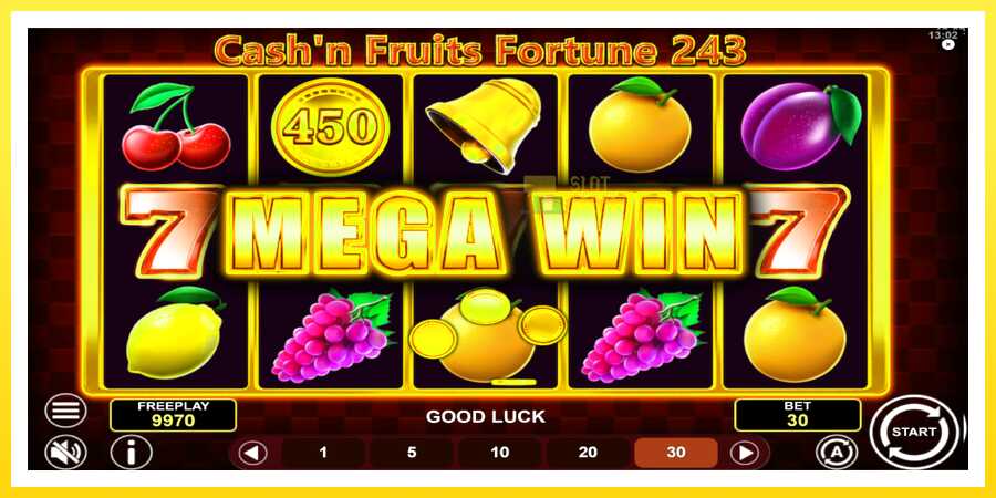 படம் 3 விளையாட்டு இயந்திரம் Cashn Fruits Fortune 243