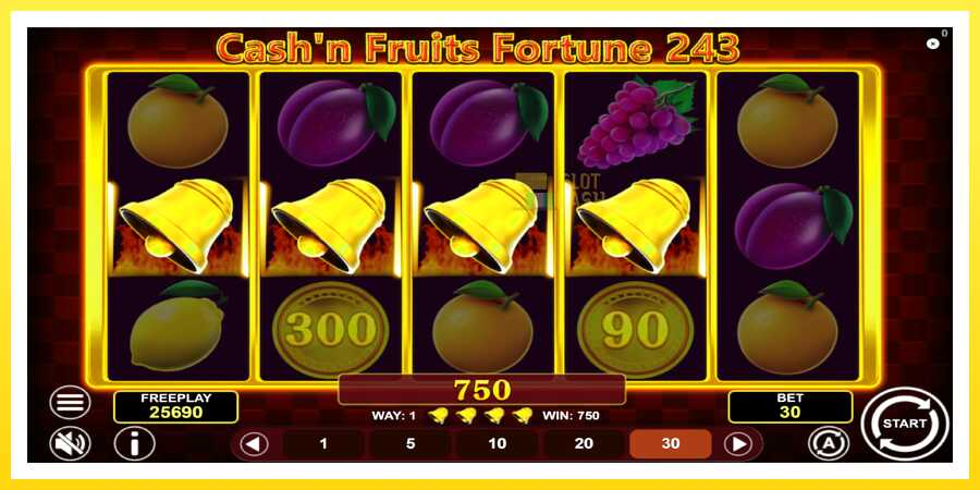 படம் 5 விளையாட்டு இயந்திரம் Cashn Fruits Fortune 243