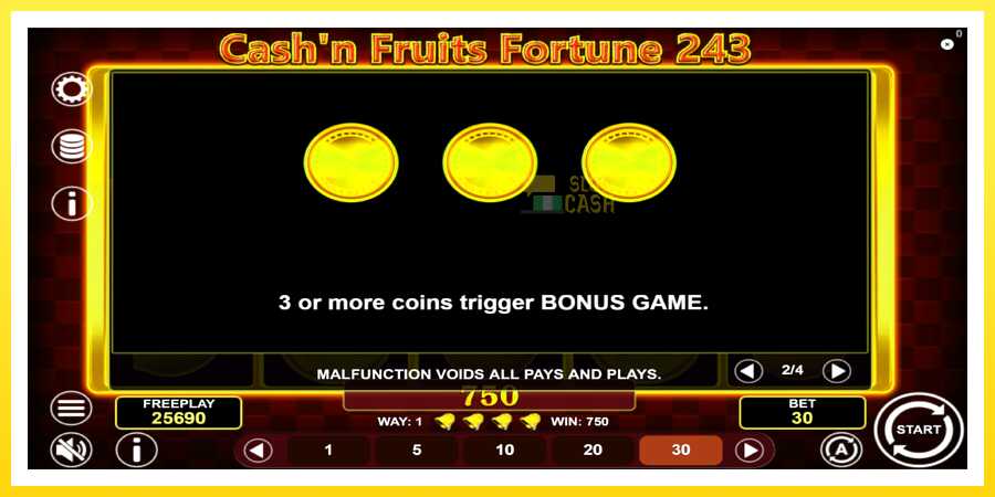 படம் 7 விளையாட்டு இயந்திரம் Cashn Fruits Fortune 243