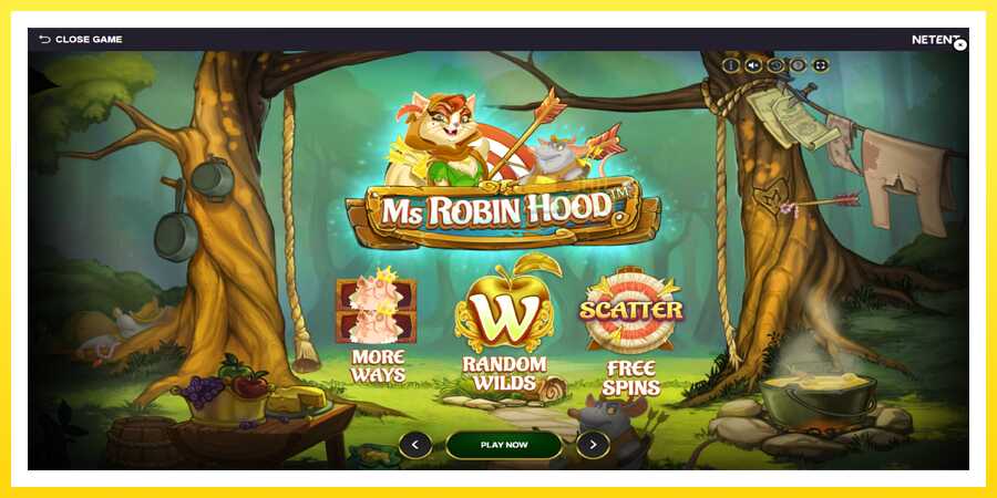 படம் 1 விளையாட்டு இயந்திரம் Ms Robin Hood