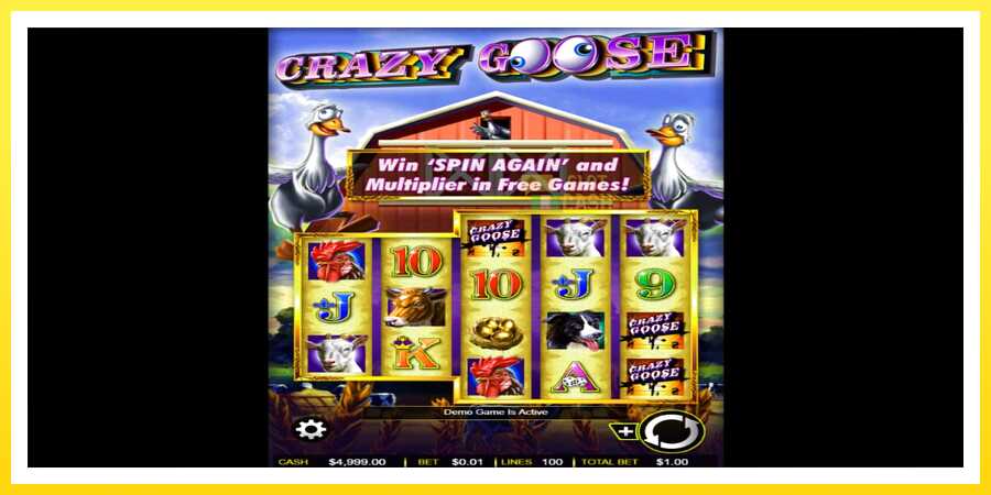 படம் 1 விளையாட்டு இயந்திரம் Crazy Goose