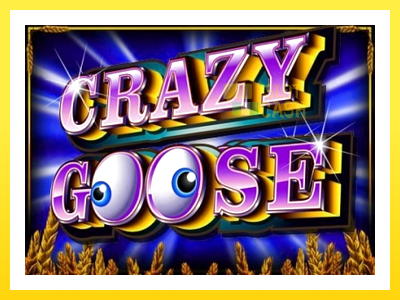 விளையாட்டு இயந்திரம் Crazy Goose