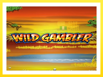 விளையாட்டு இயந்திரம் Wild Gambler