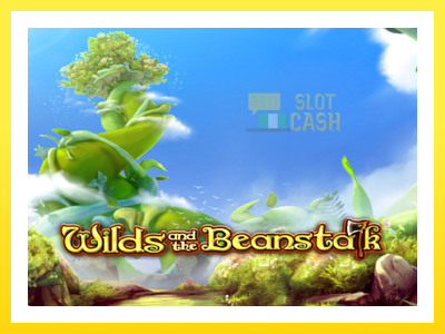 விளையாட்டு இயந்திரம் Wilds and the Beanstalk