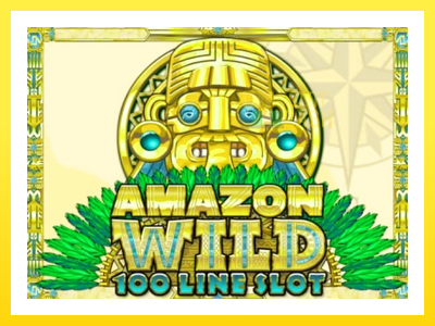 விளையாட்டு இயந்திரம் Amazon Wild