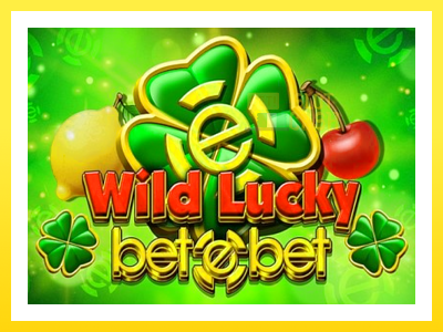 விளையாட்டு இயந்திரம் Wild Lucky Betebet