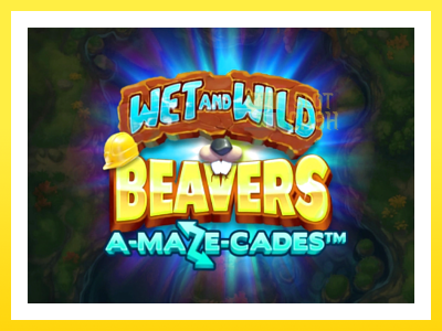 விளையாட்டு இயந்திரம் Wet and Wild Beavers