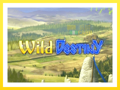 விளையாட்டு இயந்திரம் Wild Destiny