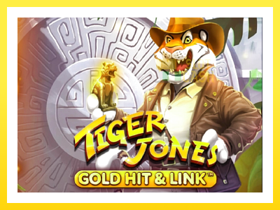 விளையாட்டு இயந்திரம் Gold Hit & Link: Tiger Jones