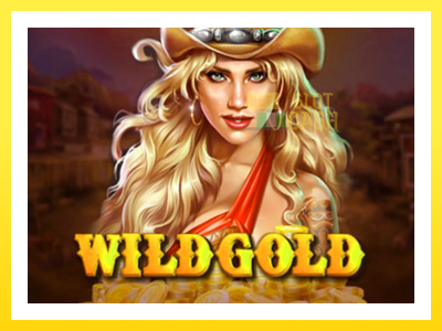 விளையாட்டு இயந்திரம் Wild Gold 100000