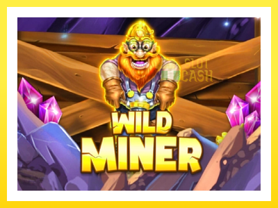 விளையாட்டு இயந்திரம் Wild Miner