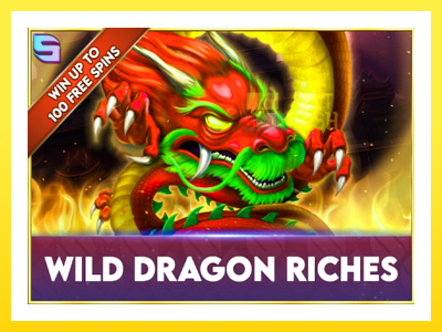 விளையாட்டு இயந்திரம் Wild Dragon Riches