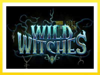 விளையாட்டு இயந்திரம் Wild Witches