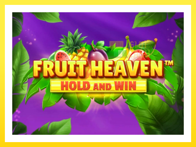 விளையாட்டு இயந்திரம் Fruit Heaven Hold and Win