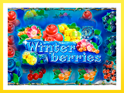 விளையாட்டு இயந்திரம் Winterberries