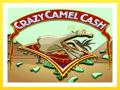 விளையாட்டு இயந்திரம் Crazy Camel Cash